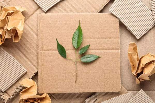 sustainable package