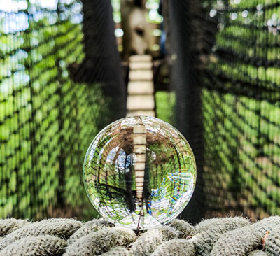 skydruide lensball