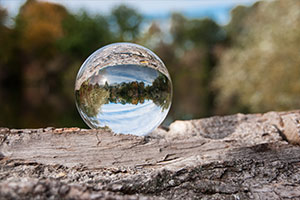Integrity and Transparent Sourcing