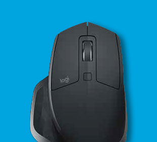 mice